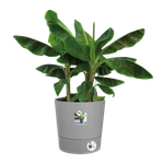 greensense aqua care rond 43cm ciment clair